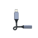 Adaptador Lightning para P2 3.5mm